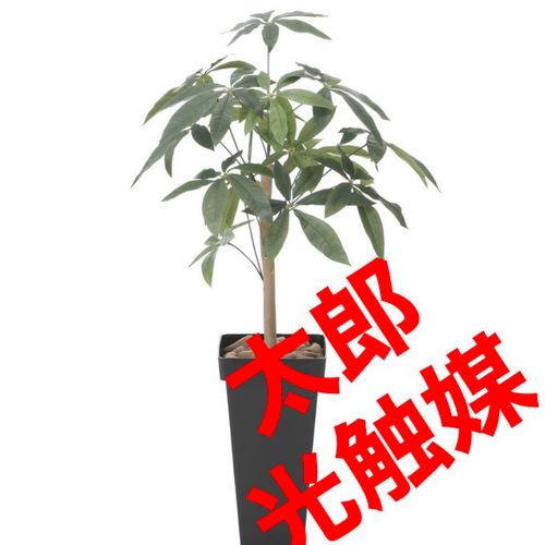 光触媒 人工観葉植物 ウォールグリーン フェイクグリーン スリム