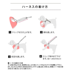 【Shirozo様専用ページ】coolハーネス単品（レトロフラワー赤×キナリ） 5枚目の画像