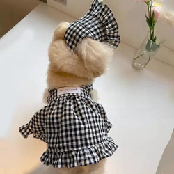 可愛い猫犬　ワンチャン　ニャーチャン　ペット服　シャツ+帽子+スカート　セット 2枚目の画像