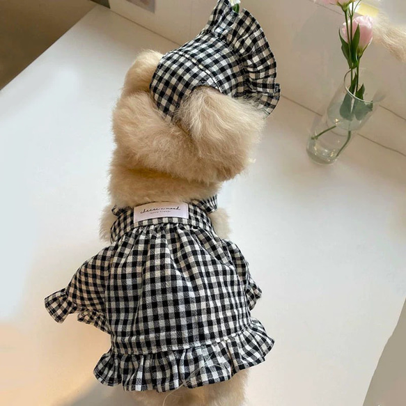 可愛い猫犬　ワンチャン　ニャーチャン　ペット服　シャツ+帽子+スカート　セット 6枚目の画像