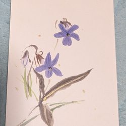 春の花絵葉書３枚セット 3枚目の画像