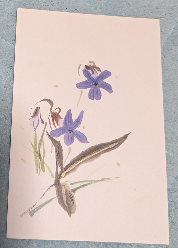 春の花絵葉書３枚セット 3枚目の画像