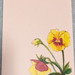 春の花絵葉書３枚セット 2枚目の画像