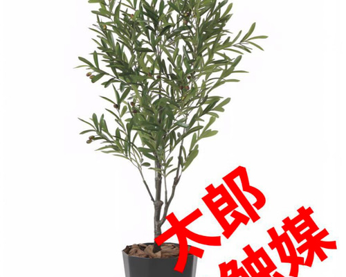 光触媒 人工観葉植物 ウォールグリーン フェイクグリーン オリーブ