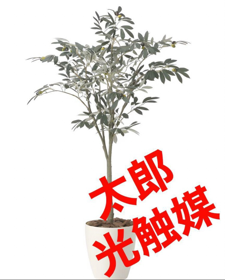 光触媒　人工観葉植物　ウォールグリーン　フェイクグリーン　オリーブツリー1.35