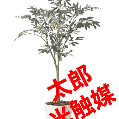 光触媒人工観葉植物ウォールグリーンフェイクグリーンオリーブツリー