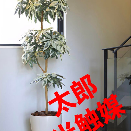 光触媒 人工観葉植物 ウォールグリーン フェイクグリーン