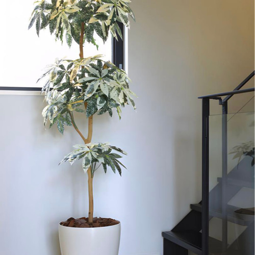 光触媒 人工観葉植物 ウォールグリーン フェイクグリーン
