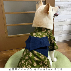 猫&小型犬用浴衣/龍②オフホワイト Mサイズ n-0190シリーズ 5枚目の画像