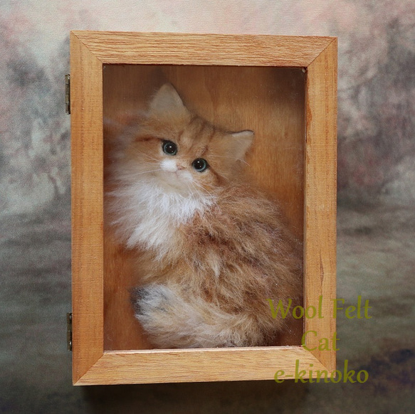 箱中ノ猫013 羊毛フェルト 壁掛け インテリア雑貨 置物 チンチラゴールデン 猫 動物 1枚目の画像