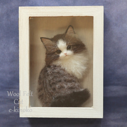 箱中ノ猫014 羊毛フェルト 壁掛け インテリア雑貨 置物 ノルウェージャン 猫 動物 1枚目の画像