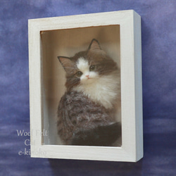 箱中ノ猫014 羊毛フェルト 壁掛け インテリア雑貨 置物 ノルウェージャン 猫 動物 2枚目の画像
