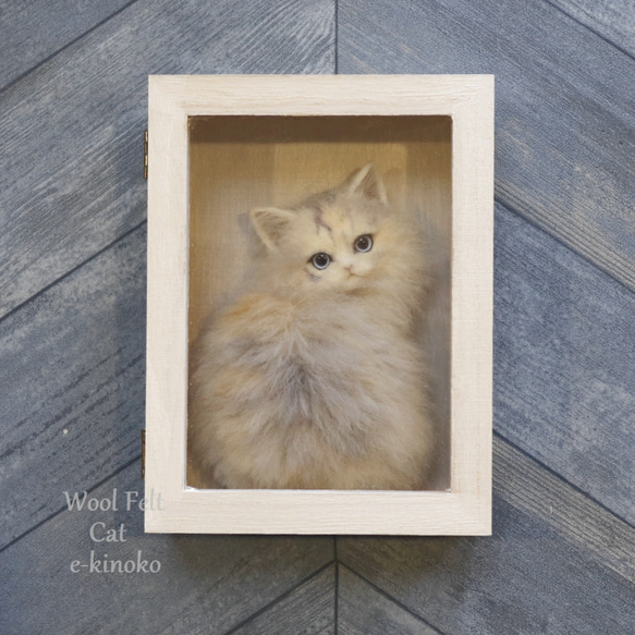 箱中ノ猫014 羊毛フェルト 壁掛け インテリア雑貨 置物 ノルウェー