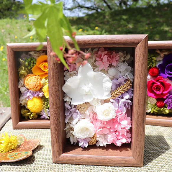 白寿祝い 百寿祝い 長寿祝いの花額 胡蝶蘭 プリザーブドフラワー