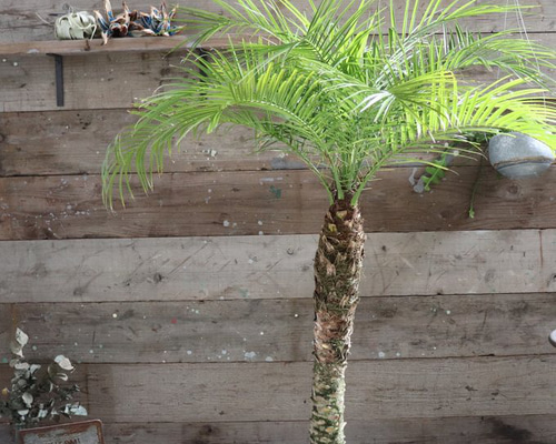 c9c0953917cb810aa874d60a8f6401