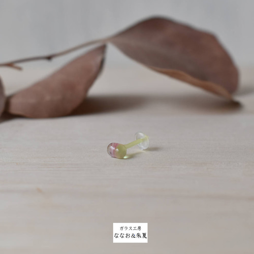 結婚祝い さくらもち ガラスのボディピアス 16G ガラス ピアス（その他） アクセサリー