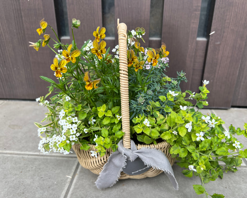 寄せ植え花□みつばちと花畑