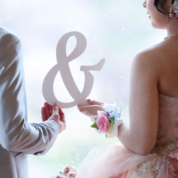 結婚式♡フォトプロップス12本セット☺︎︎✩ 手書き風♡ウェディングフォトプロップス12本セット☆ フォト