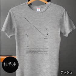 tシャツ　Tシャツ　星座Tシャツ　かわいいＴシャツ　半袖Tシャツ　プレゼント　おしゃれTシャツ　白ティー 1枚目の画像