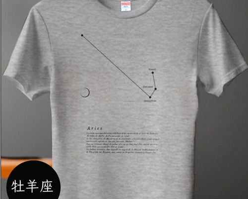 【未使用/タグつき】ボウタイシャツ 星座 わし座 プリント tシャツ Tシャツ 星座Tシャツ かわいいTシャツ 半袖Tシャツ