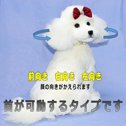18㎝ テディベア 作家 トイプードル 犬 ハンドメイド ai bear わんこ