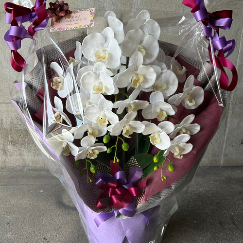 光触媒　人工観葉植物　ウォールグリーン　フェイクグリーン　リアル胡蝶蘭7550白 楽天市場】胡蝶蘭 光触媒 造花 フラワーアレンジメント フェイク