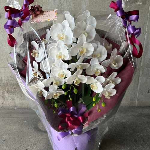 光触媒 人工観葉植物 ウォールグリーン フェイクグリーン リアル胡蝶蘭