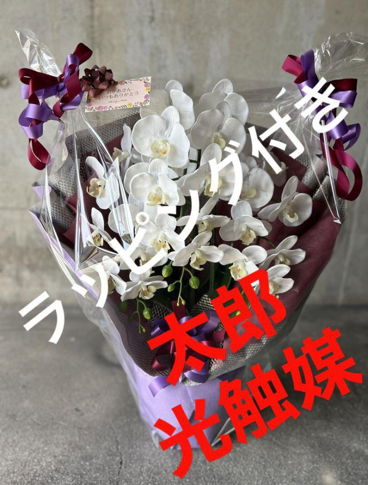 光触媒　人工観葉植物　ウォールグリーン　フェイクグリーン　リアル胡蝶蘭7550白