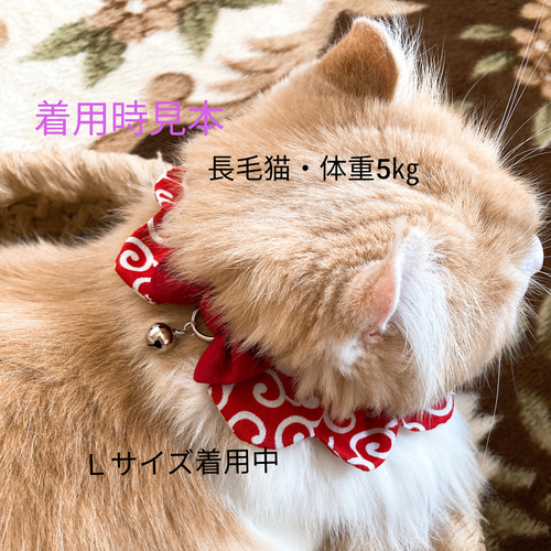 ♡にゃんこのザビエル首輪♡受注作製・オーダー版 ♡にゃんこのザビエル首輪♡受注作製・オーダー版