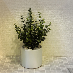 フェイクグリーン ユーカリ 全長24cm 光触媒加工付き 人工観葉植物 1枚目の画像