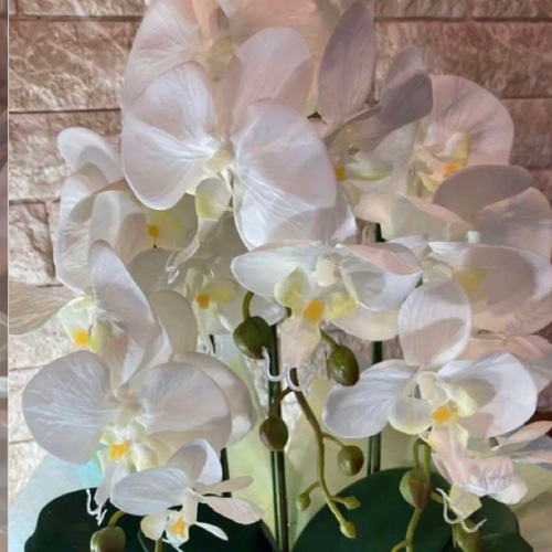 光触媒　人工観葉植物　ウォールグリーン　フェイクグリーン　胡蝶蘭7035@g 光触媒 人工観葉植物 ウォールグリーン フェイクグリーン 胡蝶蘭