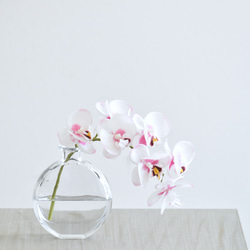 咲き続けるコチョウラン(ホワイト×ピンク＋クリアガラス)　マジカルウォーター　癒しのフラワーインテリア 3枚目の画像