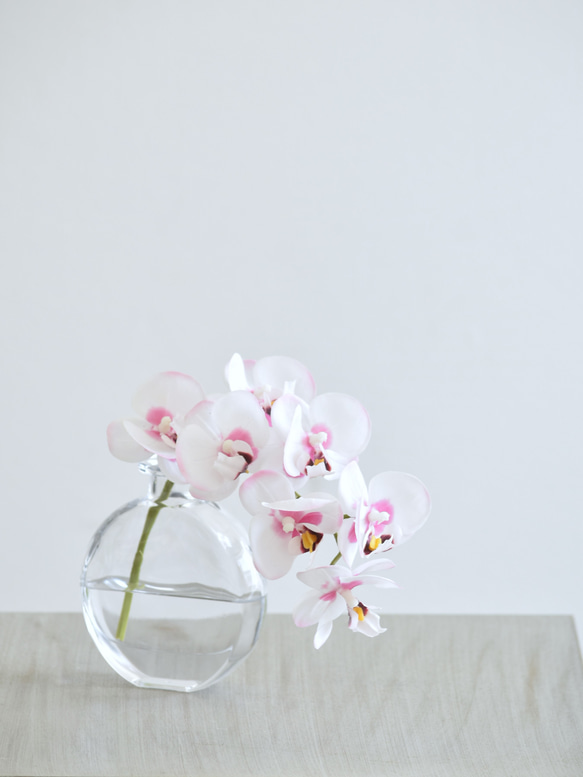 咲き続けるコチョウラン(ホワイト×ピンク＋クリアガラス)　マジカルウォーター　癒しのフラワーインテリア 5枚目の画像