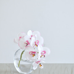 咲き続けるコチョウラン(ホワイト×ピンク＋クリアガラス)　マジカルウォーター　癒しのフラワーインテリア 6枚目の画像