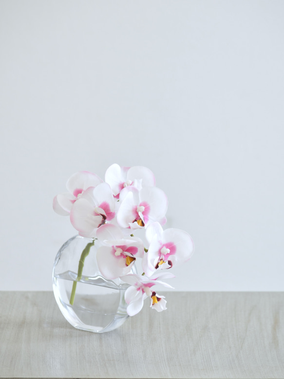 咲き続けるコチョウラン(ホワイト×ピンク＋クリアガラス)　マジカルウォーター　癒しのフラワーインテリア 6枚目の画像