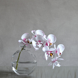 咲き続けるコチョウラン(ホワイト×ピンク＋クリアガラス)　マジカルウォーター　癒しのフラワーインテリア 2枚目の画像