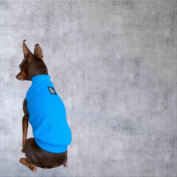 【小型犬 ダックス フレブル コーギー】Brilliant Blue 3枚目の画像