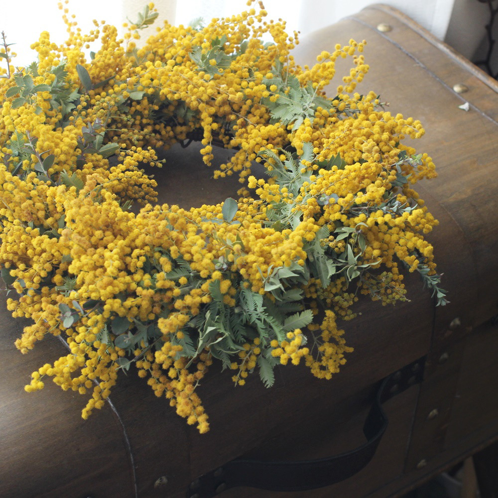 ミモザドライリース