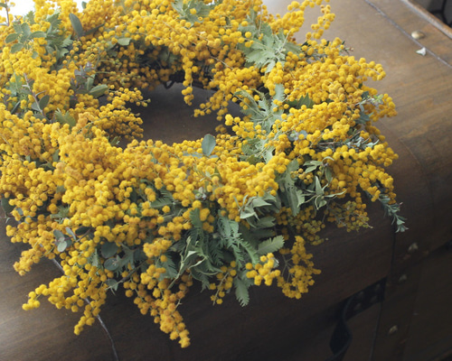 ミモザドライリース ドライフラワー petit chocolat 通販 17596550