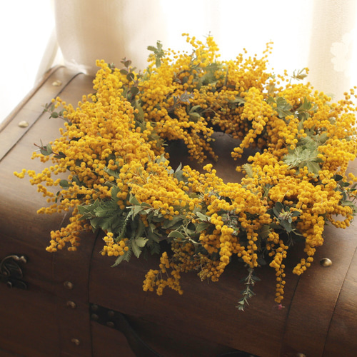 ミモザドライリース ドライフラワー petit chocolat 通販 17596550