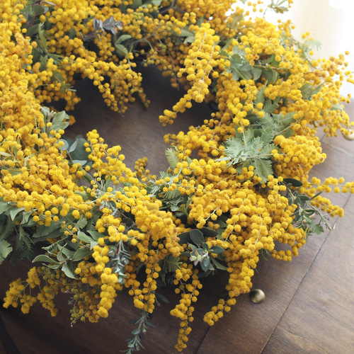 ミモザドライリース ドライフラワー petit chocolat 通販 17596550