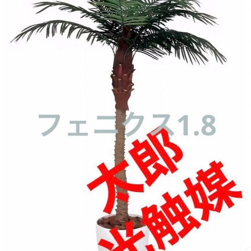 光触媒　人工観葉植物　ウォールグリーン　フェイクグリーン　フェニックス1.8m 光触媒 人工観葉植物 ウォールグリーン フェイクグリーン フェニクス