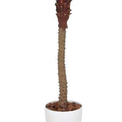 光触媒　人工観葉植物　ウォールグリーン　フェイクグリーン　フェニックス1.8m 光触媒 人工観葉植物 ウォールグリーン フェイクグリーン フェニクス