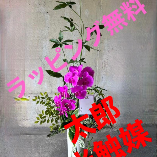 光触媒 人工観葉植物 ウォールグリーン フェイクグリーン リアル胡蝶蘭