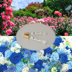 【期間限定20％OFF】薔薇くらべ　10ml×２　和薔薇＆青薔薇　5月6日迄　リアル花ノ香　和香水　アロマ香水　 1枚目の画像