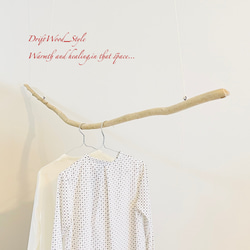 流木インテリア 緩やかな曲線を描く大型流木のハンガーラック 北欧 衣装掛け ハンギング 吊り下げ ハンガーポール N8 5枚目の画像