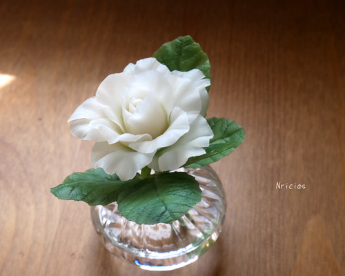 605b124d3899883cec44a78b9a3ce1