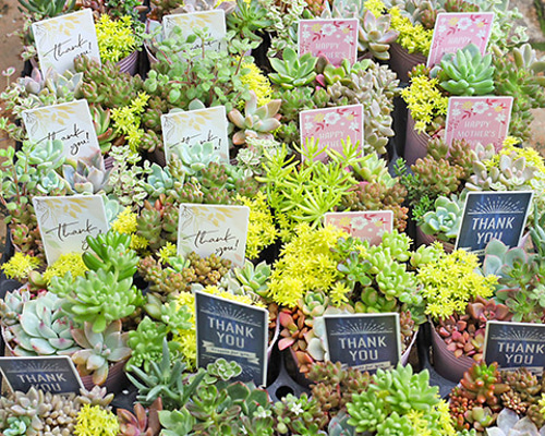 8630ff21af6a4c294f12b0ec6bde68