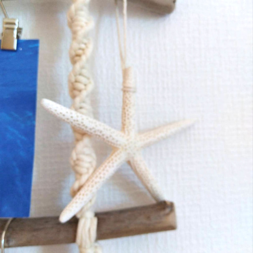 海を感じる流木ラダー 流木インテリア 流木タペストリー フォト  