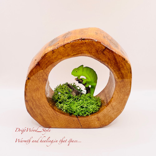 一つ限りの流木アート 枝にとまるカメレオン ジオラマ 流木 フィギュア